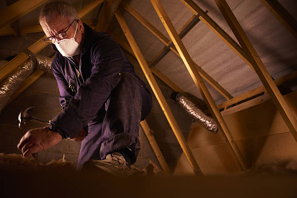 Best Specialty Insulation in Cornersville, TN